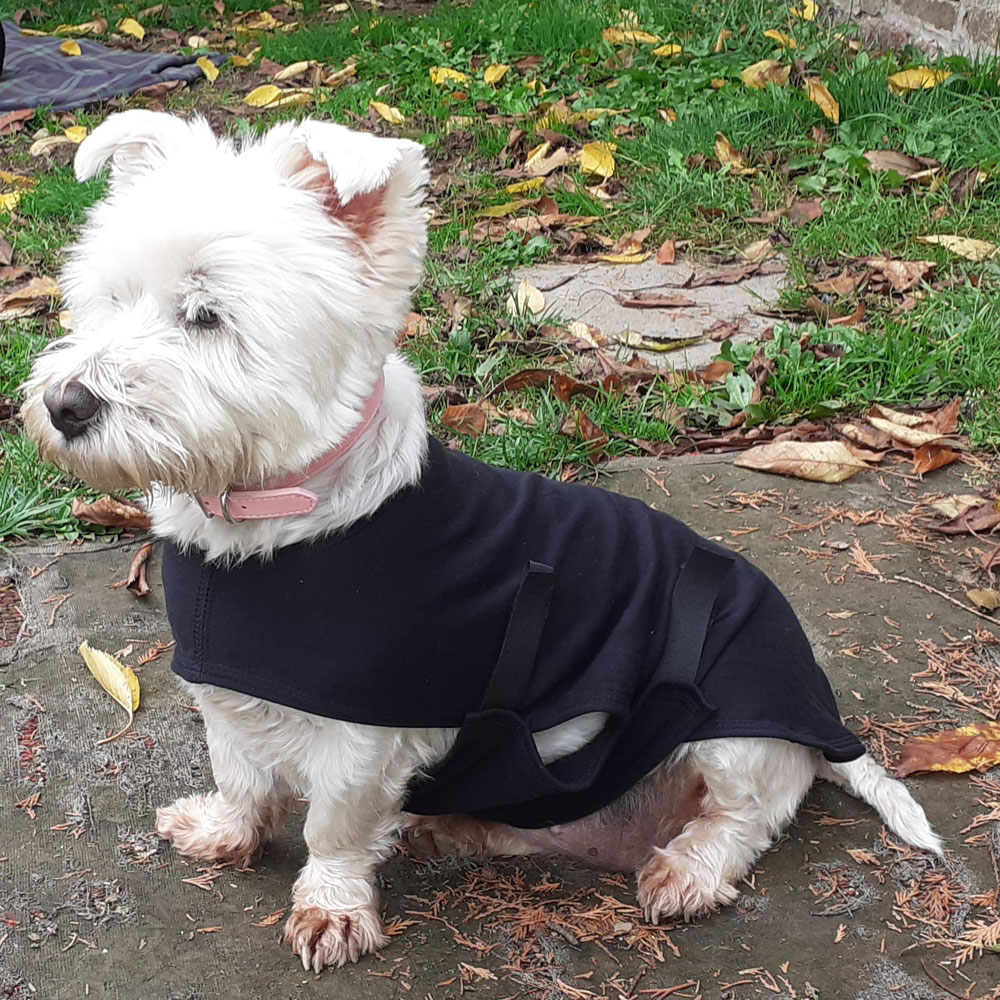 Dog Coats