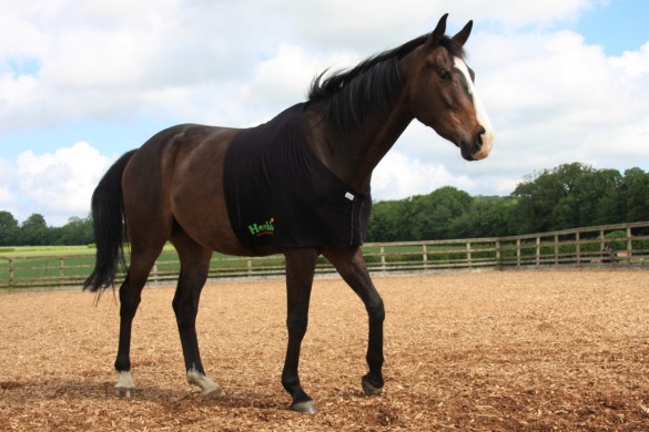 Herbb Elite Organic Cotton Bib