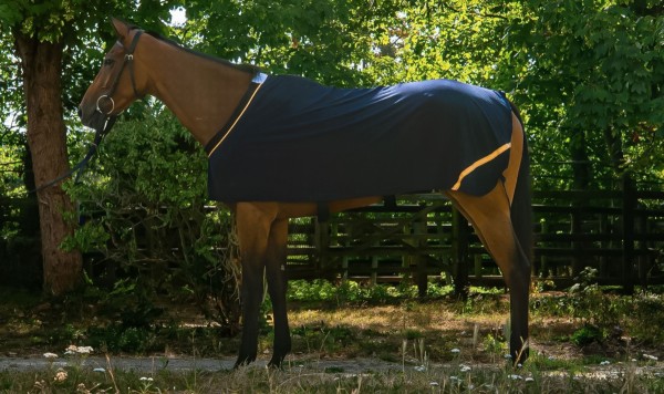 Herbb Classique Organic cotton Multi-Pack