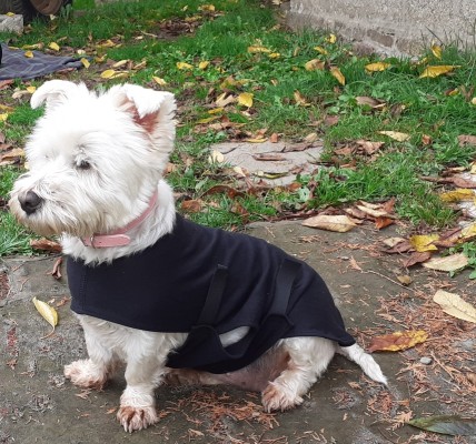 HERBB® DOG COATS