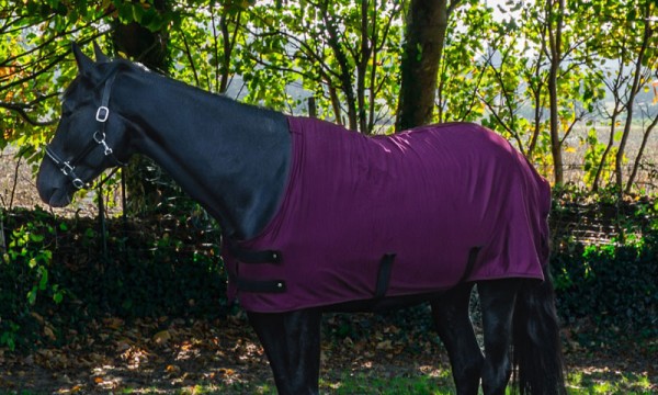 Herbb Elite Cotton Stable Rug