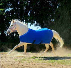 Herbb Elite Lightweight