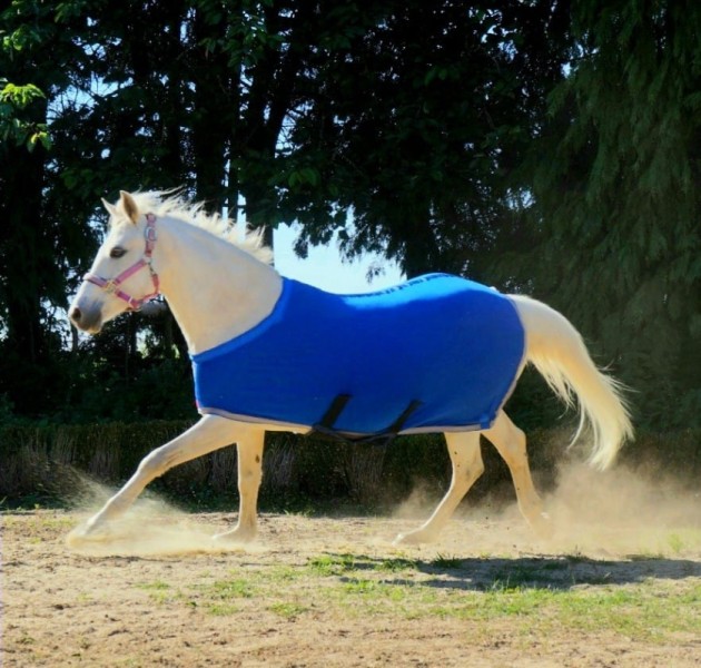 Herbb Elite Lightweight