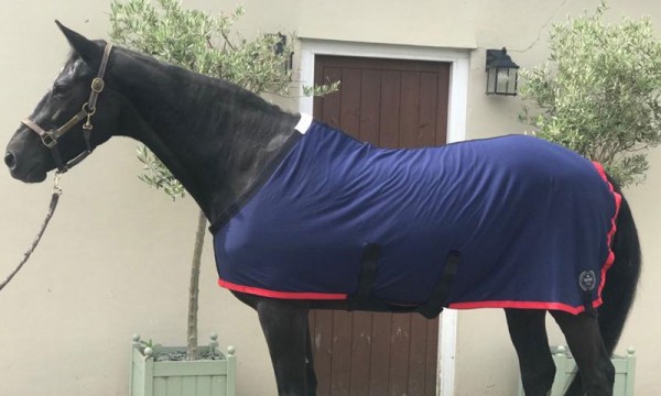 HERBB Elite Organic cotton Stable Rug