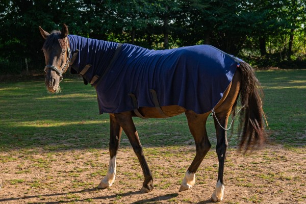 Herbb Elite Plus inc. neck