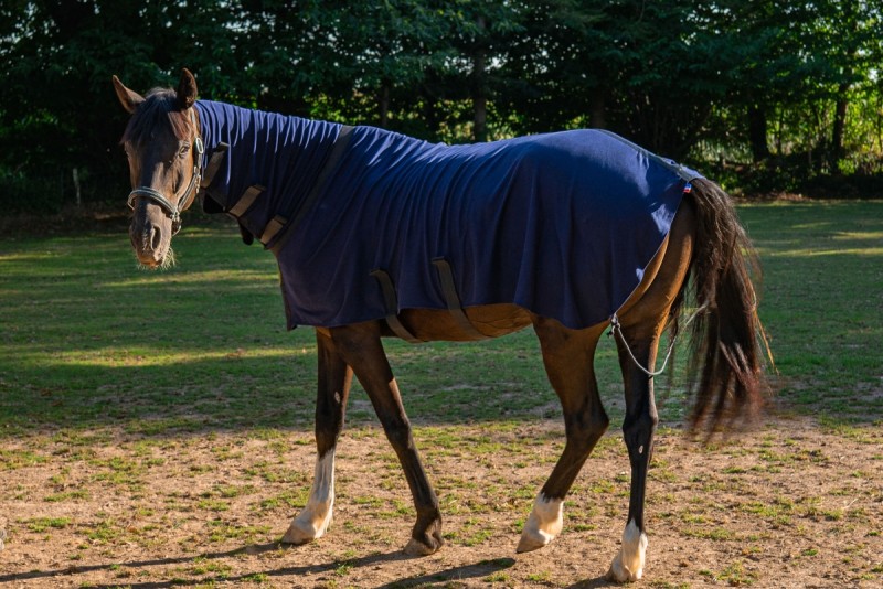 Herbb Elite Plus inc. neck