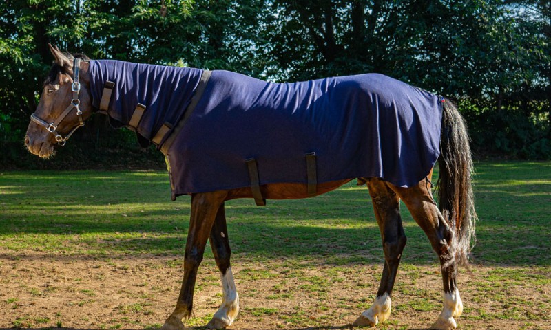 Herbb Elite rug inc.Neck