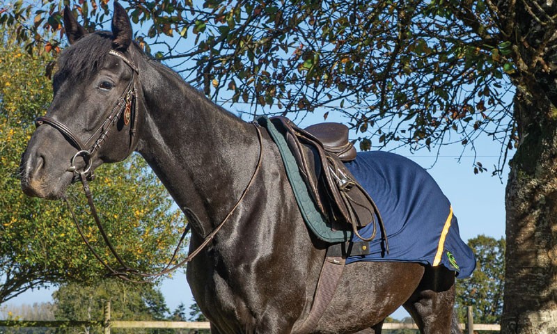 Herbb ® Exercise Blanket