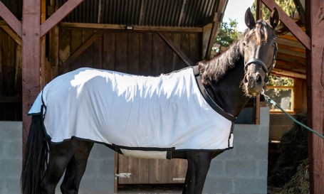 Herbb Fly Sheet Standard