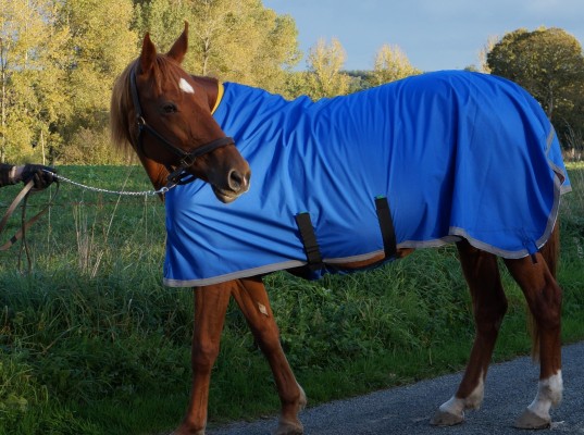 Herbb Lightweight Turnout Rug