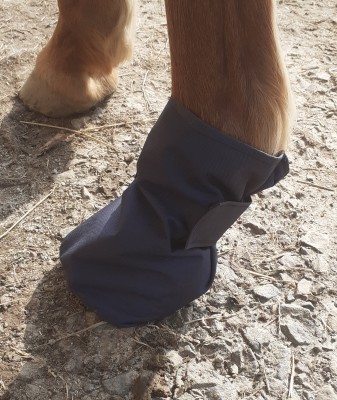 HERBB THERAPY BOOT
